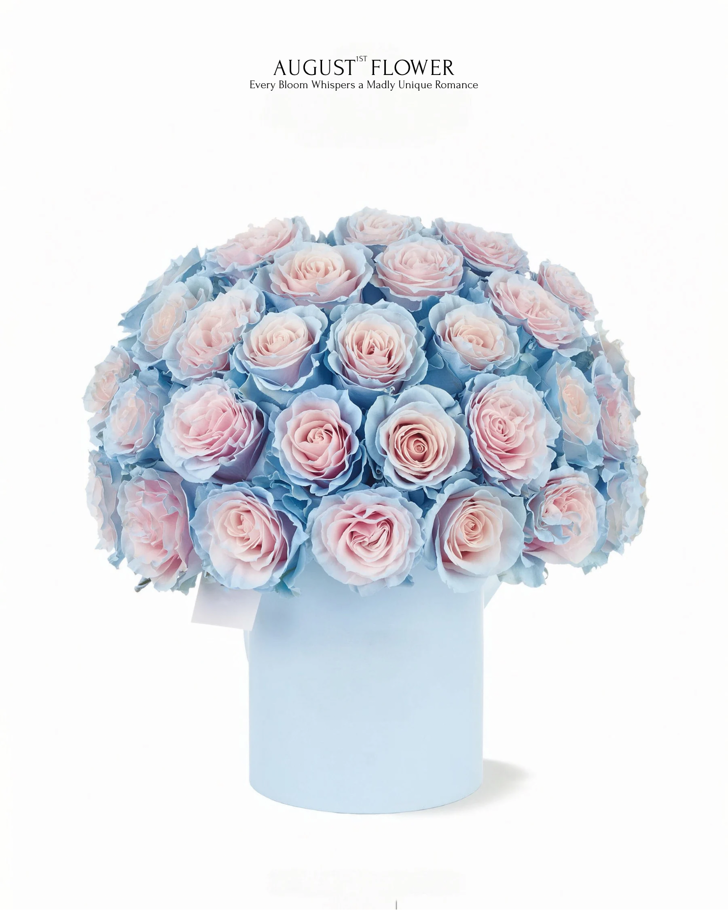 厄瓜多爾玫瑰｜Sweet Baby Blue